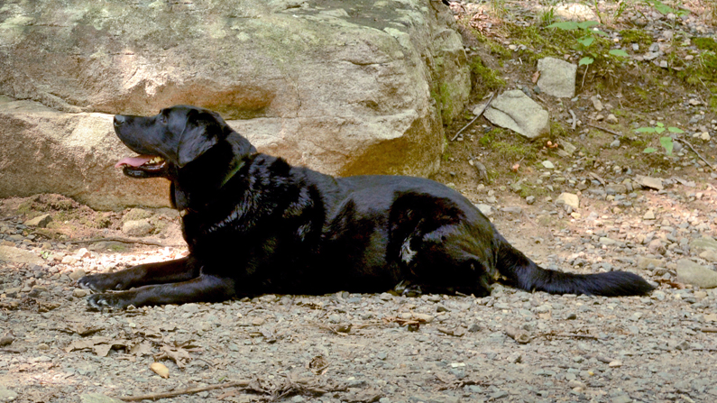 Lakota at Silas park