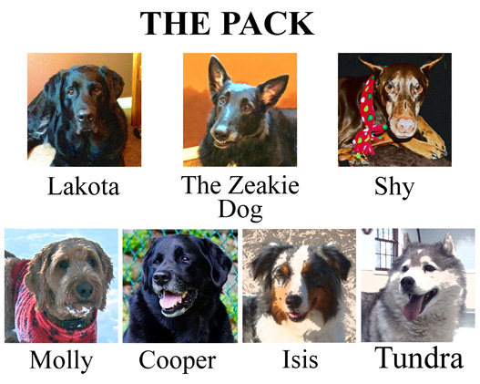 Pack_Photo